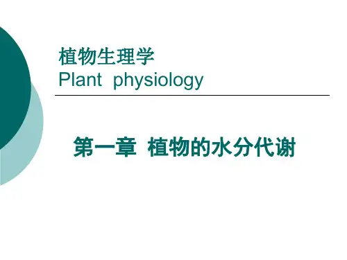 植物的水分代谢解读