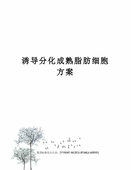 诱导分化成熟脂肪细胞方案