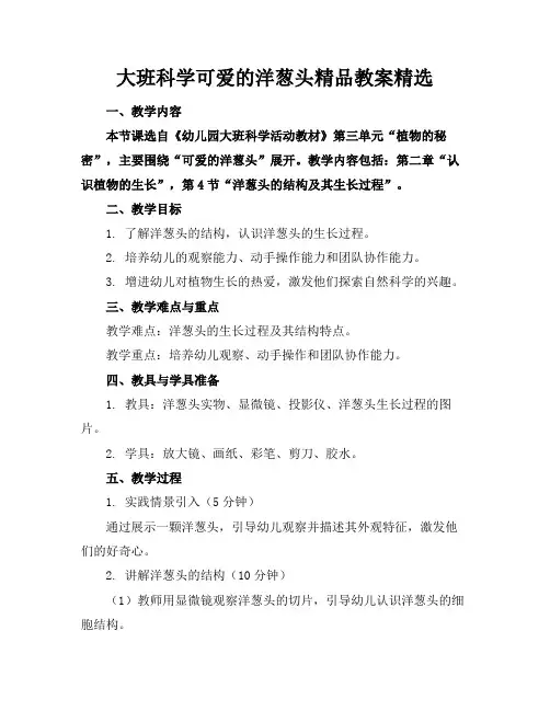 大班科学可爱的洋葱头精品教案精选