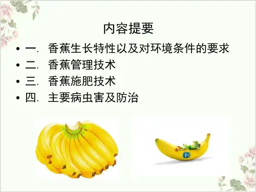 香蕉栽培技术要点和主要病虫害PPT.