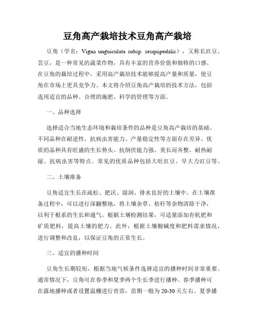 豆角高产栽培技术豆角高产栽培