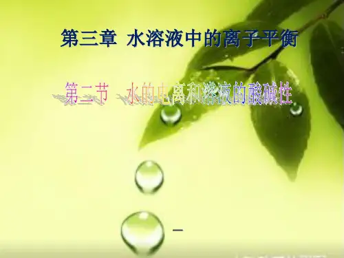 《溶液pH的计算》PPT-课件【人教版】高中化学选修