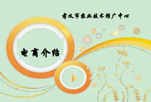 农业电商-ppt课件