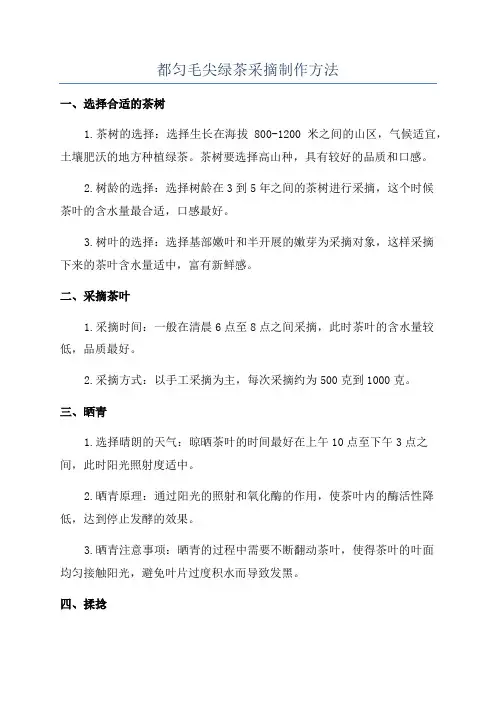 都匀毛尖绿茶采摘制作方法