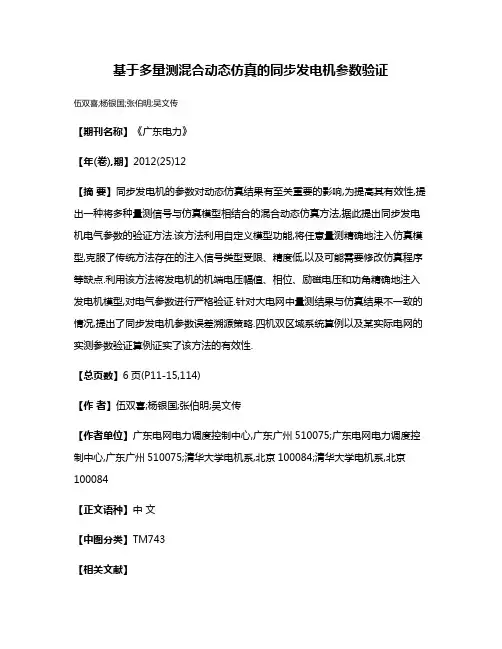 基于多量测混合动态仿真的同步发电机参数验证