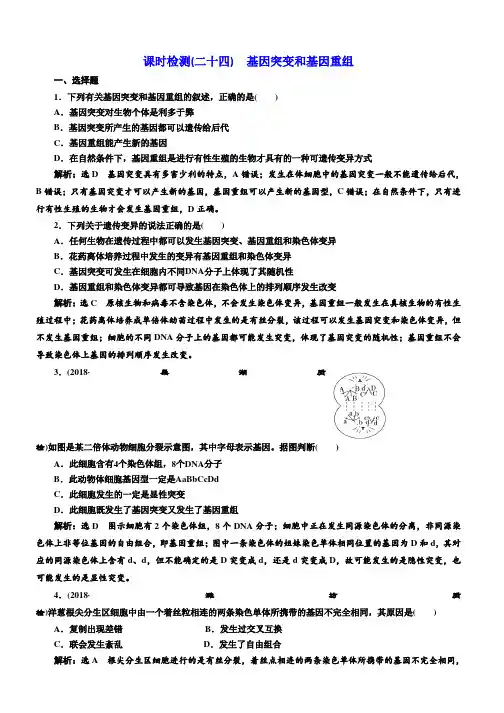 2019届高考全国卷人教版生物一轮复习课时检测(二十四) 基因突变和基因重组 Word版含解析