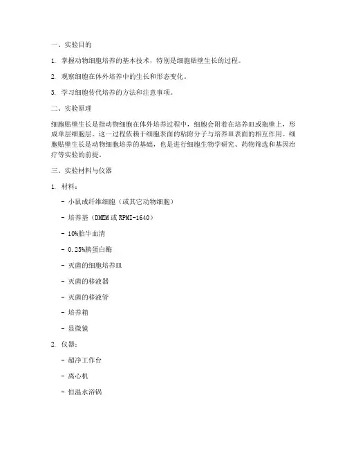 细胞贴壁生长实验报告