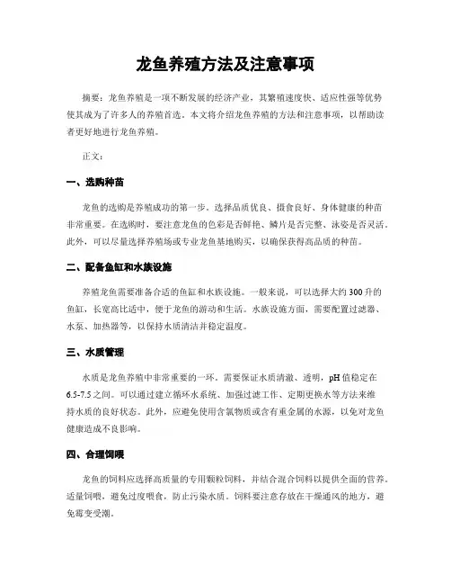 龙鱼养殖方法及注意事项