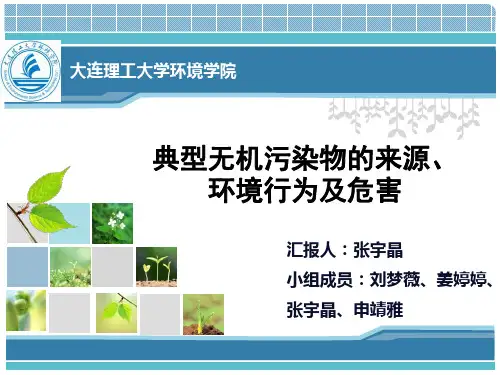 典型无机污染物的来源环境行为及危害-张宇晶