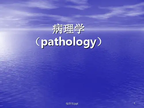 病理学绪论适应PPT课件