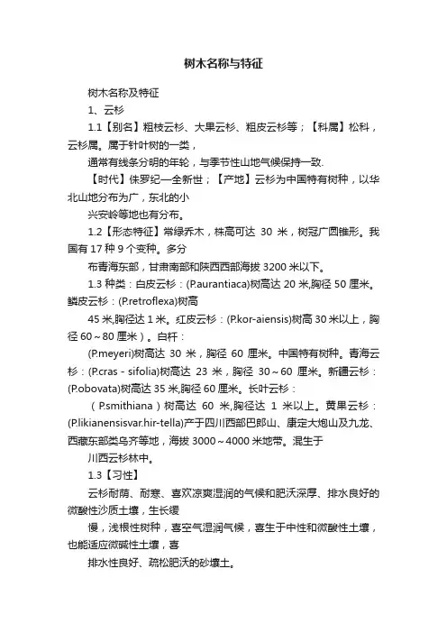 树木名称与特征