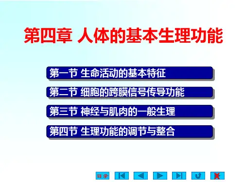 人体的基本生理活动总结
