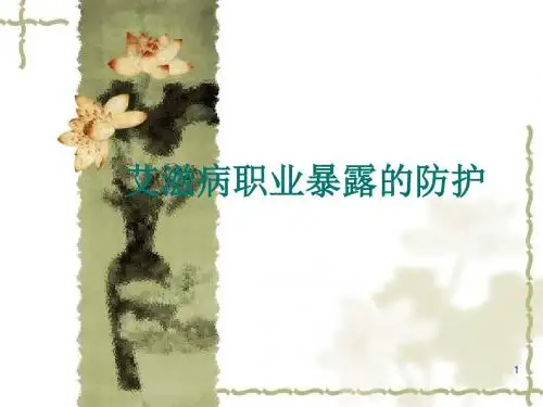 艾滋病职业暴露防护PPT课件