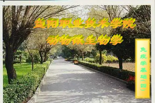 抗感染免疫