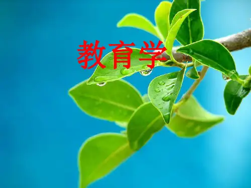 教育学(小学特岗)ppt课件