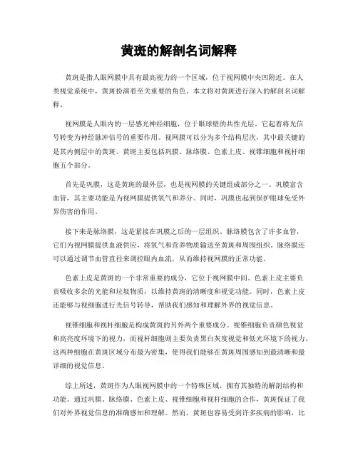 黄斑的解剖名词解释