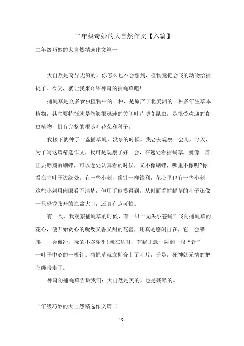 二年级奇妙的大自然作文【六篇】