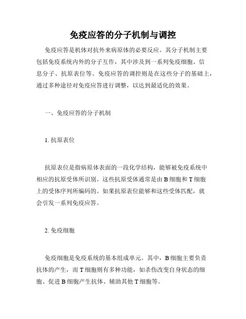 免疫应答的分子机制与调控