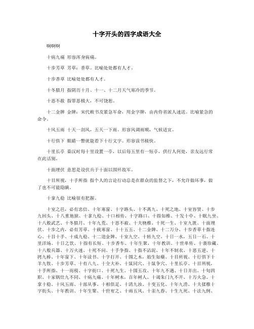十字开头的四字成语大全