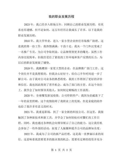 我的职业发展历程