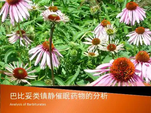 药物分析：巴比妥类的分析(SYSH)精品PPT课件