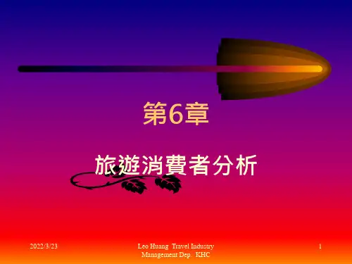 消费者行为-旅游消费者分析报告(ppt14页)