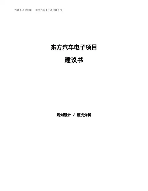 东方汽车电子项目建议书