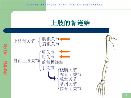 运动解剖学关节的形态观察及运动形式课件