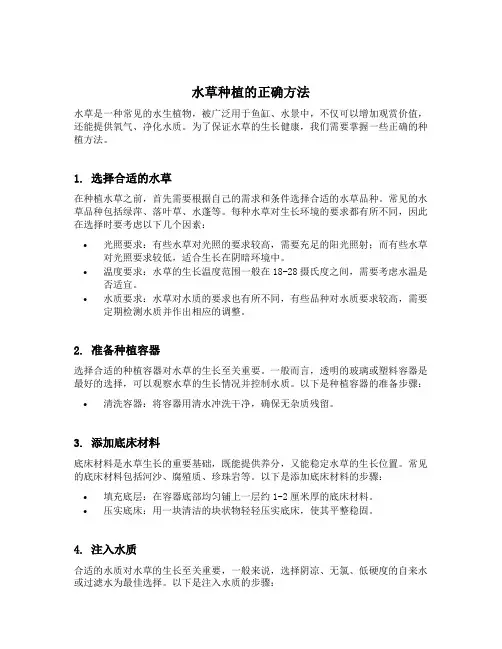 水草种植的正确方法