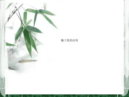 酶工程的应用