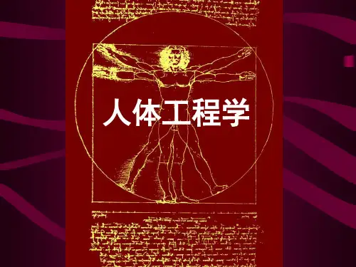 人体工程学ppt