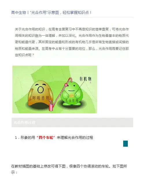 高中生物丨“光合作用”示意图,轻松掌握知识点