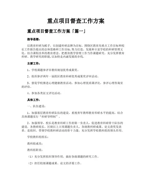 重点项目督查工作方案