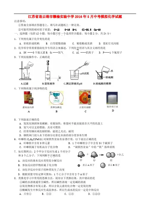 江苏省连云港赣榆县实验中学2016届5月中考化学模拟试题
