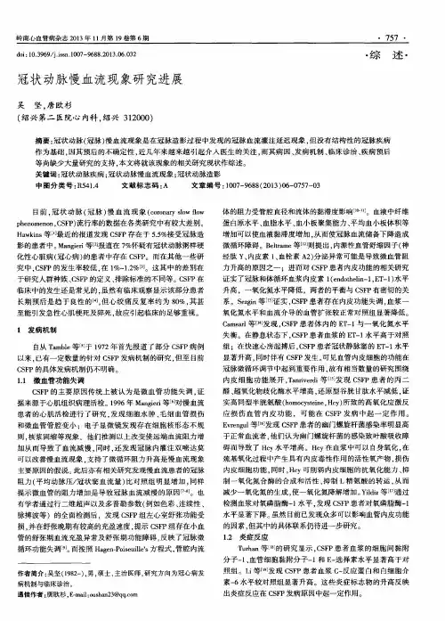 冠状动脉慢血流现象研究进展