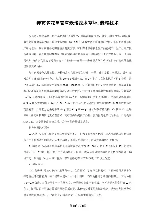 特高多花黑麦草栽培技术草坪,栽培技术