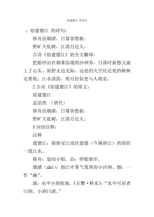 宿建德江 的诗句