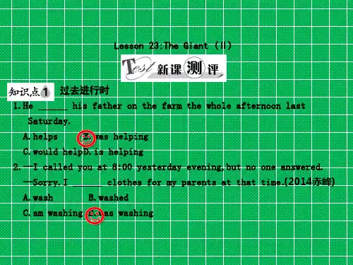 冀教版英语九年级课件Lesson23TheGiant(Ⅱ)