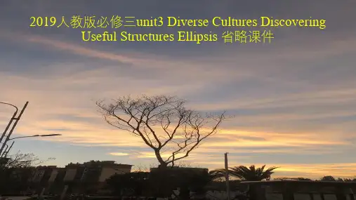 Unit 3 Diverse Cultures 高一英语精美课件(必修三)(人教版2019)