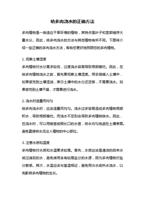 给多肉浇水的正确方法