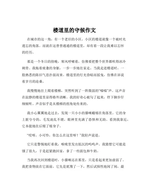 楼道里的守候作文
