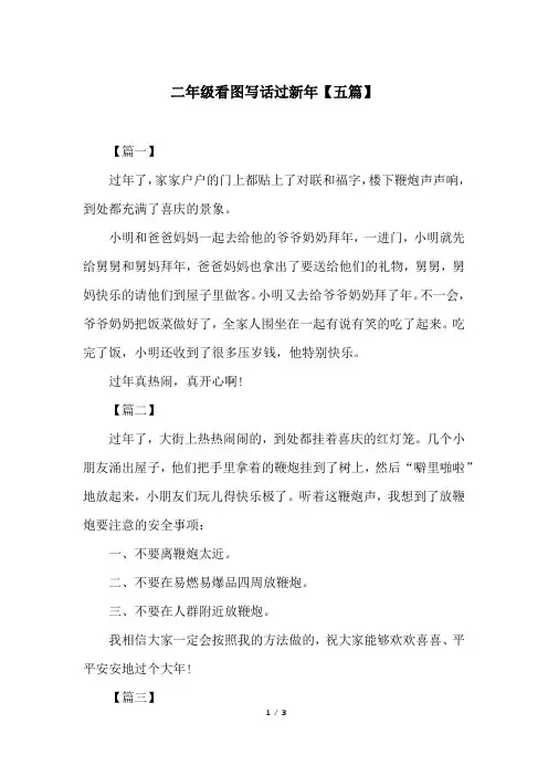 二年级看图写话过新年【五篇】