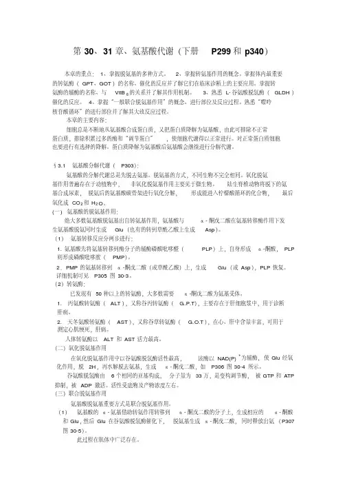 氨基酸分解代谢