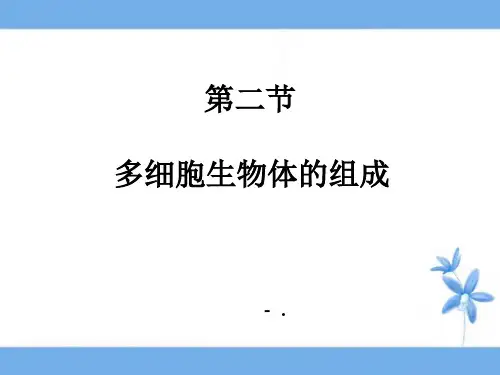 《多细胞生物体的组成》PPT课件