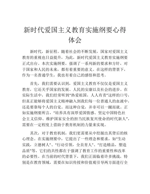 新时代爱国主义教育实施纲要心得体会