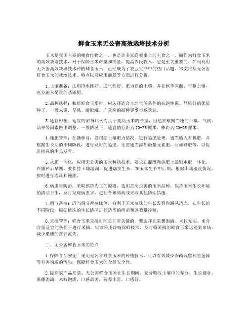 鲜食玉米无公害高效栽培技术分析