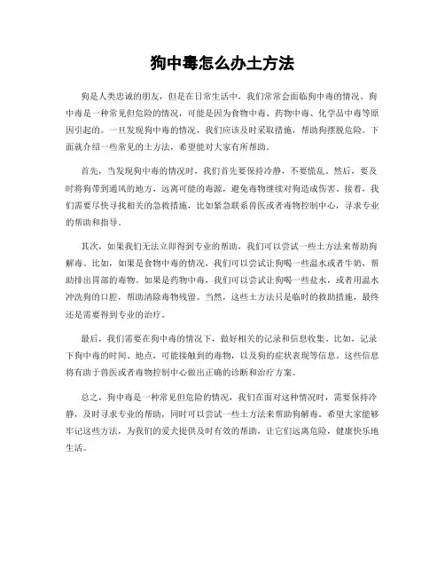 狗中毒怎么办土方法
