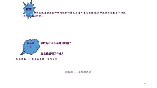 一轮复习生物细胞膜和细胞核ppt课件