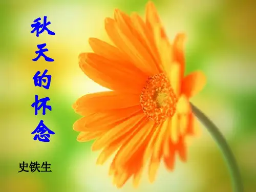 新人教版七年级语文上册秋天的怀念课件