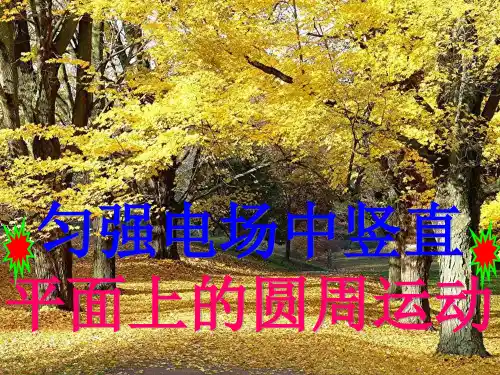 高中物理必考匀强电场中竖直平面上的圆周运动课件